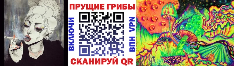 Галлюциногенные грибы ЛСД  Моршанск 